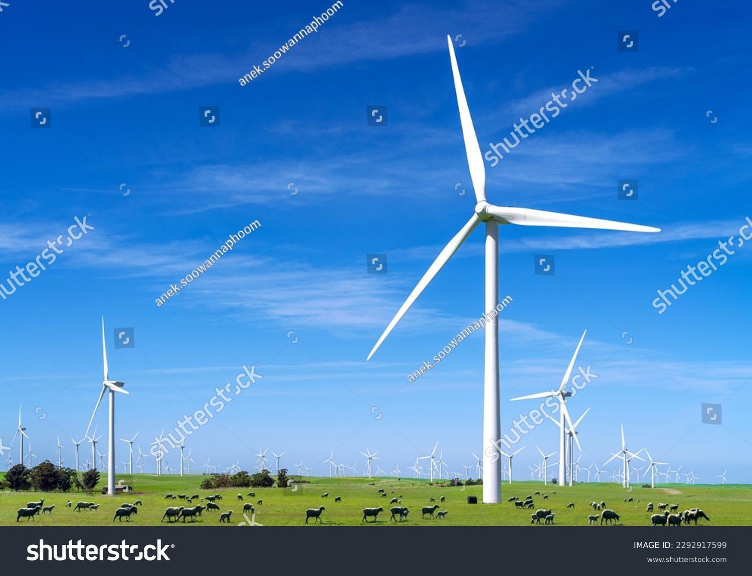 wind power plant and windmill turbine farm in san francisco, california, USA with green grass and blue sky, this photo can use for energy safe and green power concept #2292917599