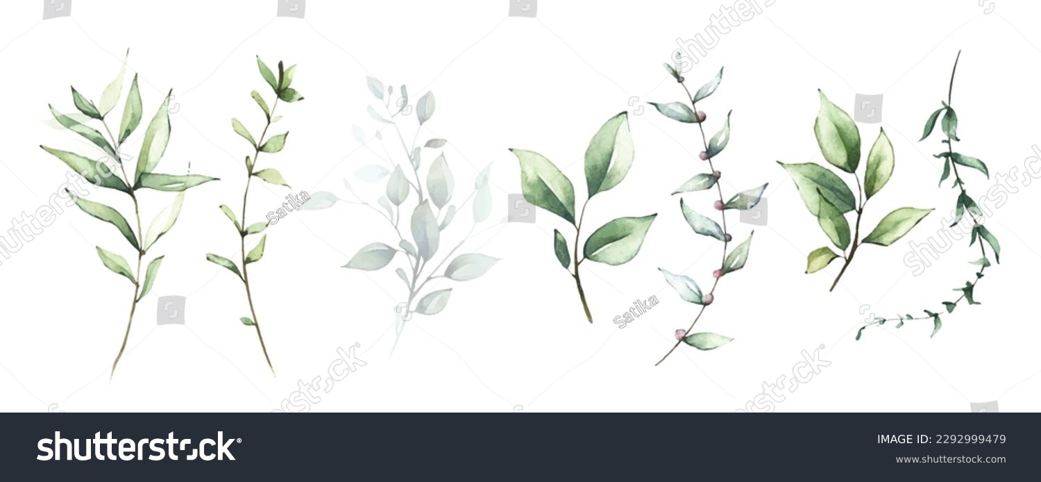 Watercolor floral set of green leaves, branches, twigs etc. Vector traced isolated greenery illustration.  #2292999479