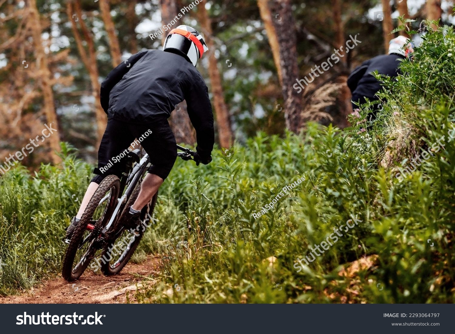 rear view male racer riding on forest trail downhill race, black sports clothes, biking high plants #2293064797