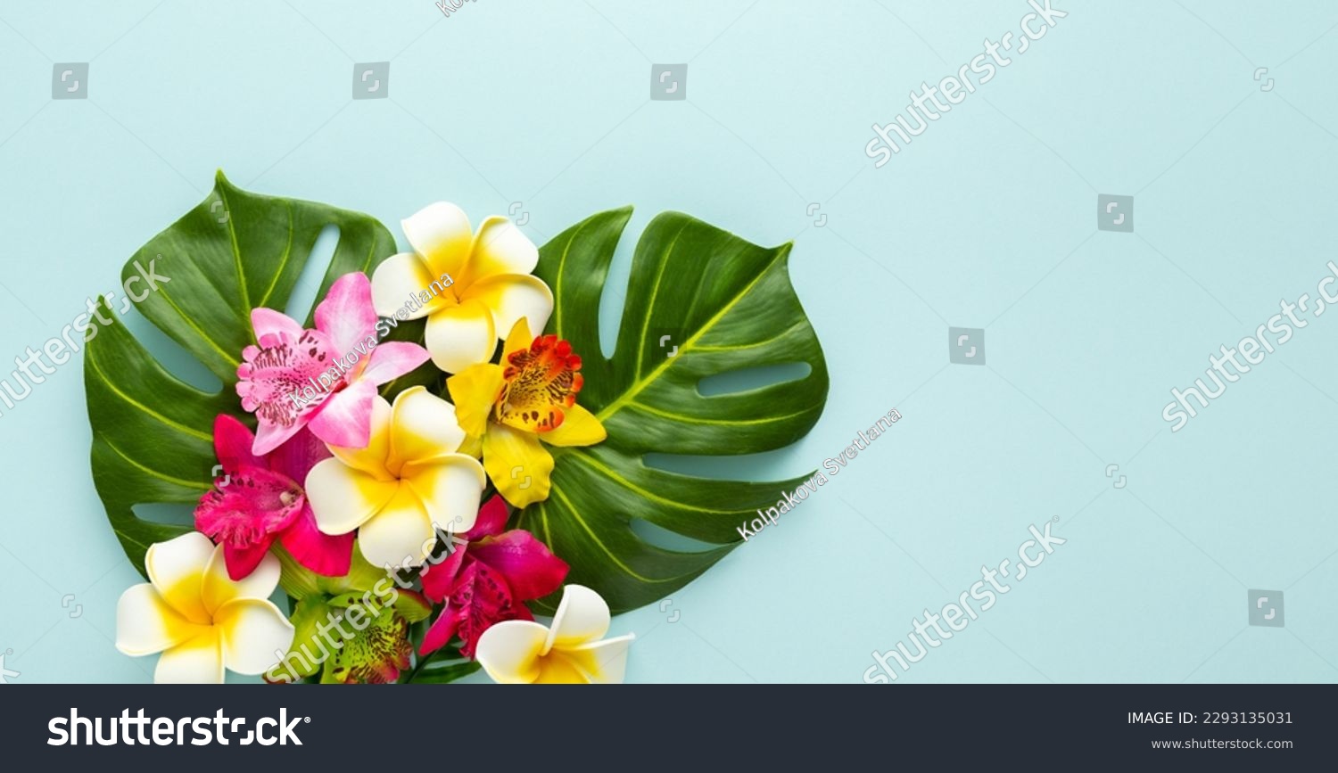 Summer background with tropical orchid flowers and green tropical palm leaves on light background. Flat lay, top view. Summer party backdrop #2293135031