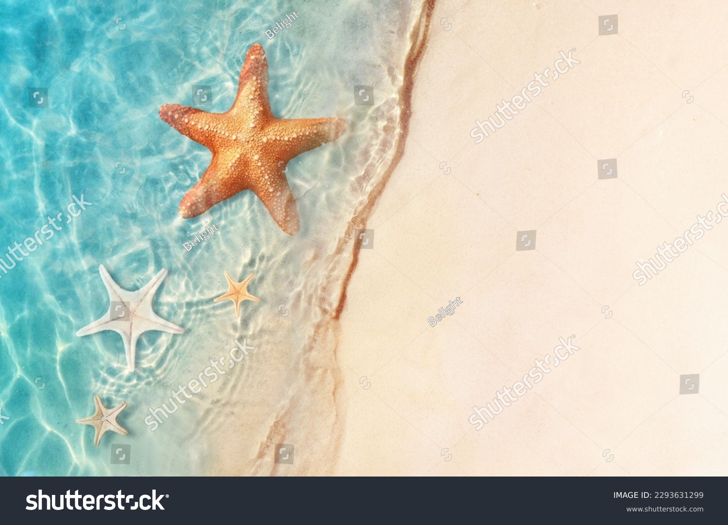 Starfish on the sand beach in clear sea water. Summer background. Summer time .Copy space. Relaxing on the beach. #2293631299