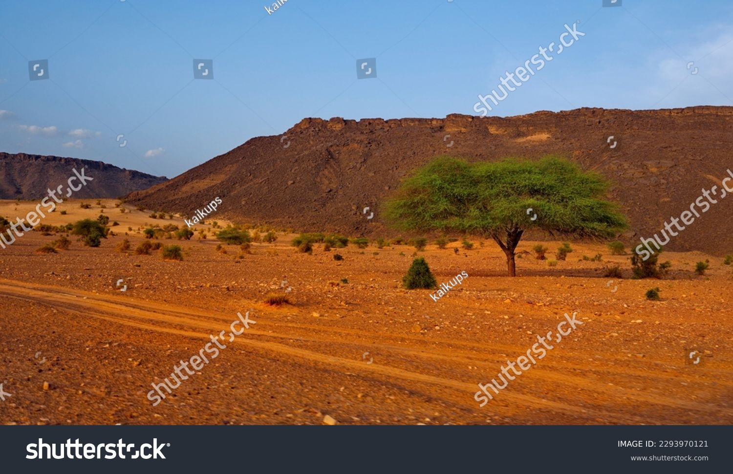 West Africa. Mauritania. Covered by the sands of the Sahara Desert, the valley of a dried-up river near the famous Terzhit oasis. #2293970121