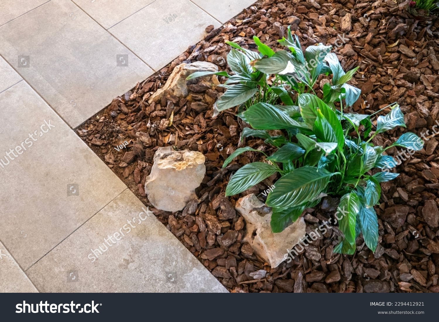 Green plant mulched with natural brown bark mulch and decorative stones near pedestrian pathway. Top view. Modern gardening landscaping design #2294412921