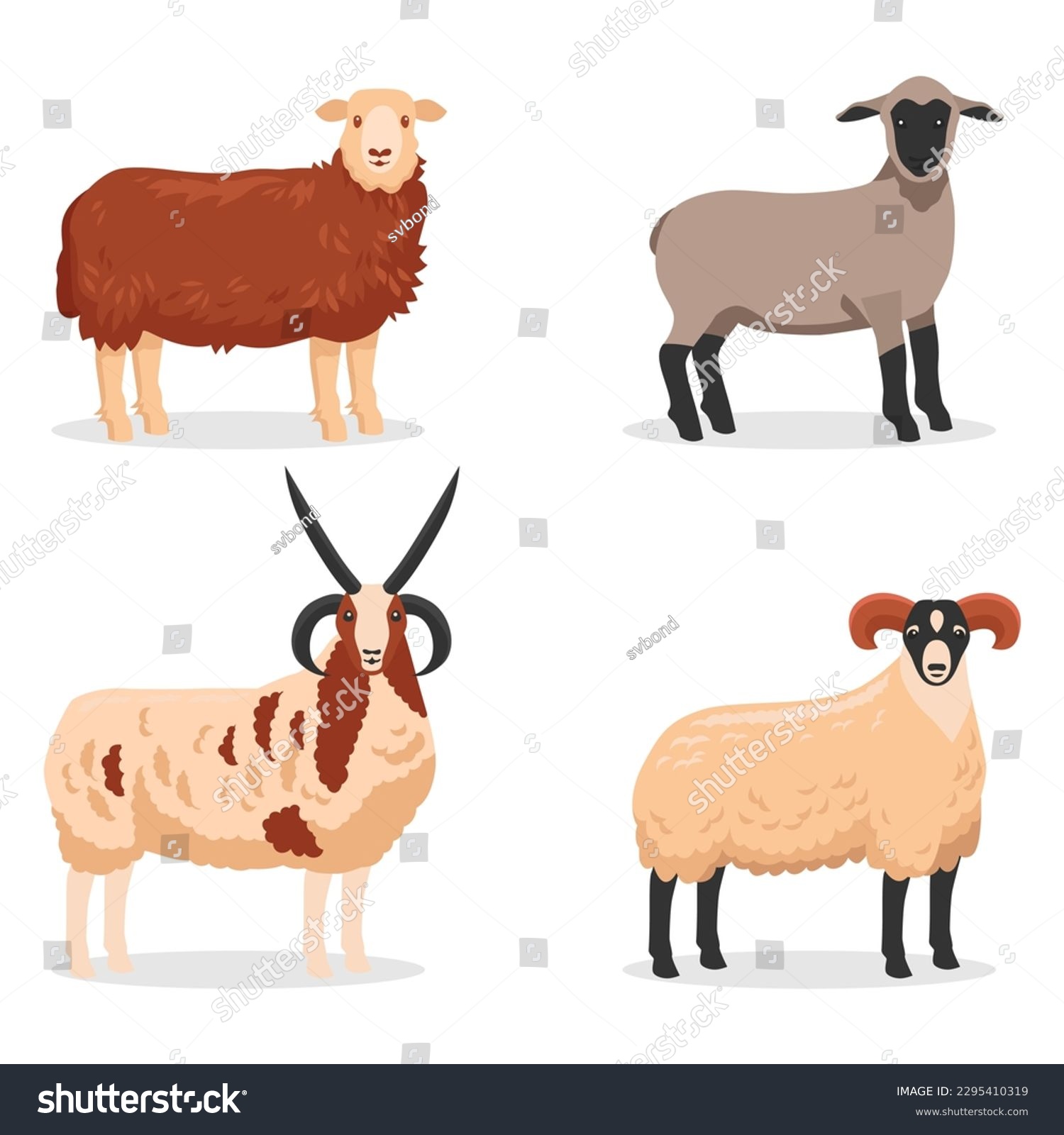 Various sheep and rams. Vector illustration - Royalty Free Stock Vector ...