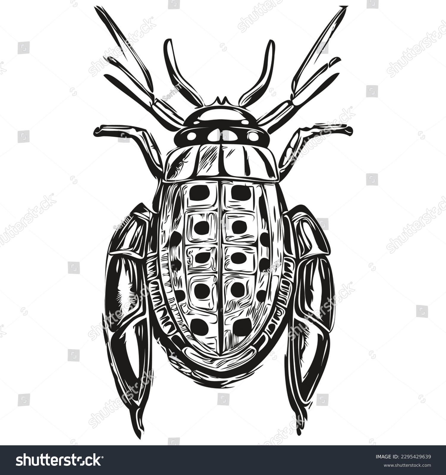 hand drawn beetle, vector illustration black and - Royalty Free Stock ...