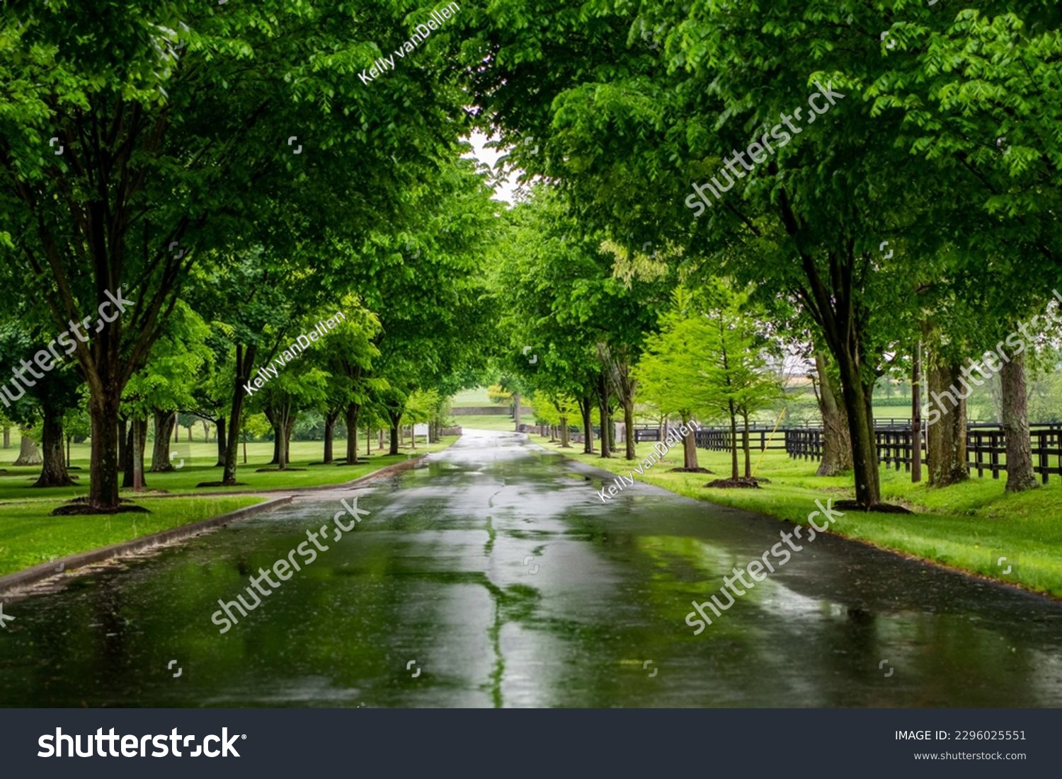 Rainy Days on Kentucky Backroads lined with black fences #2296025551