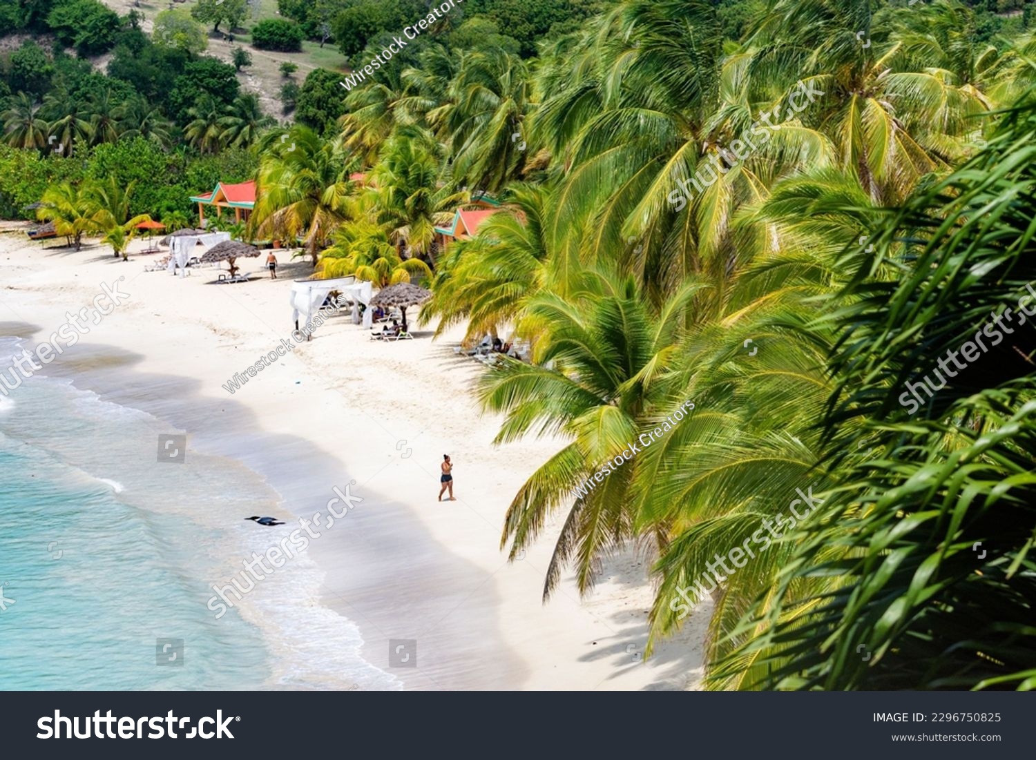 An aerial view of the shore of Ile a Vache in Haiti on a sunny day #2296750825