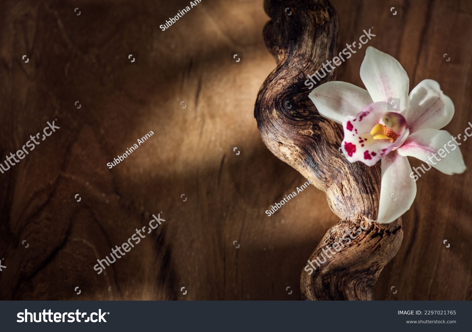 Vanilla flower close up. Vanilla beans over wooden background, macro shot. Aromatic condiments closeup #2297021765