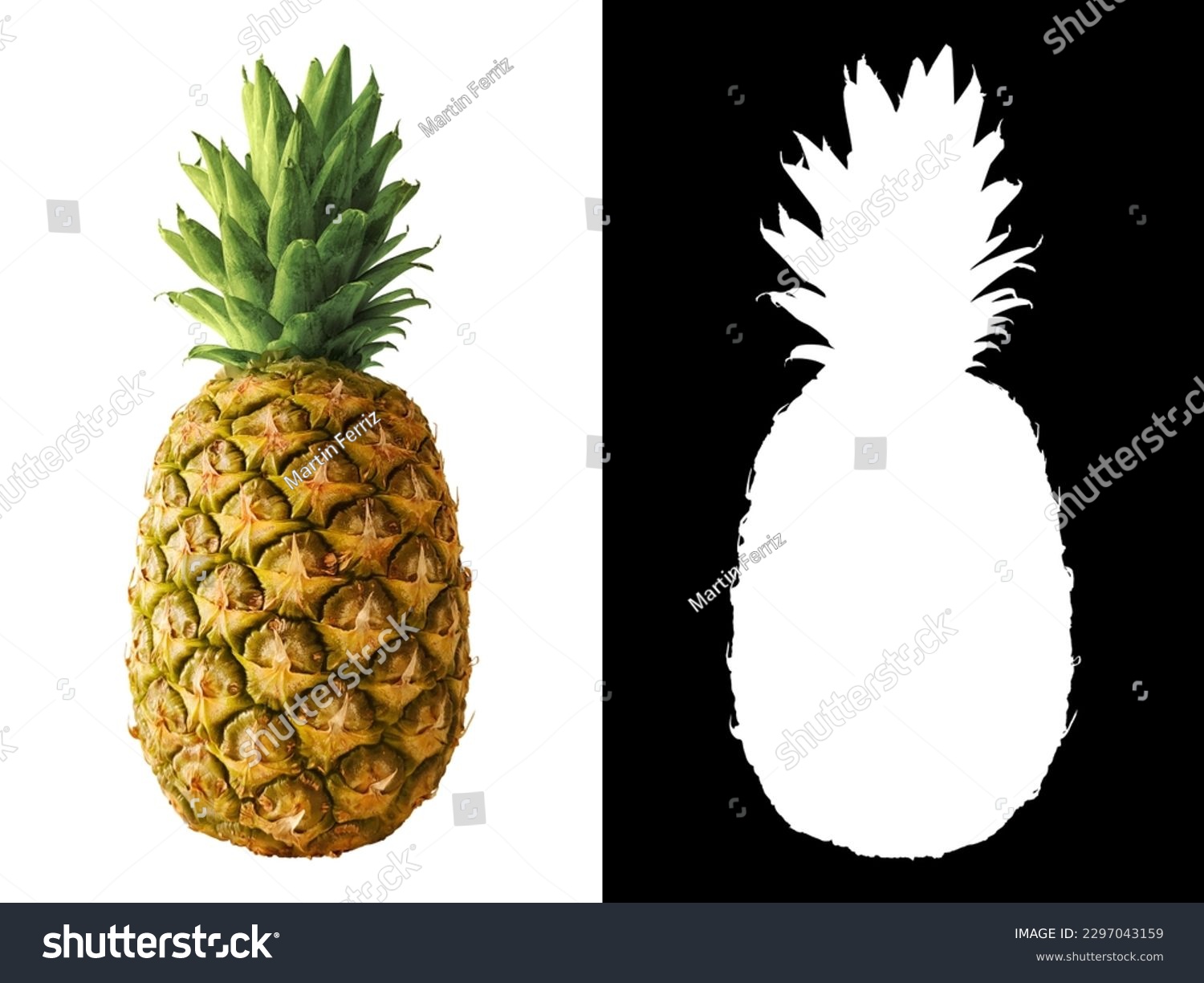 A tropical pineapple isolated on empty background with clipping path and alpha channel #2297043159