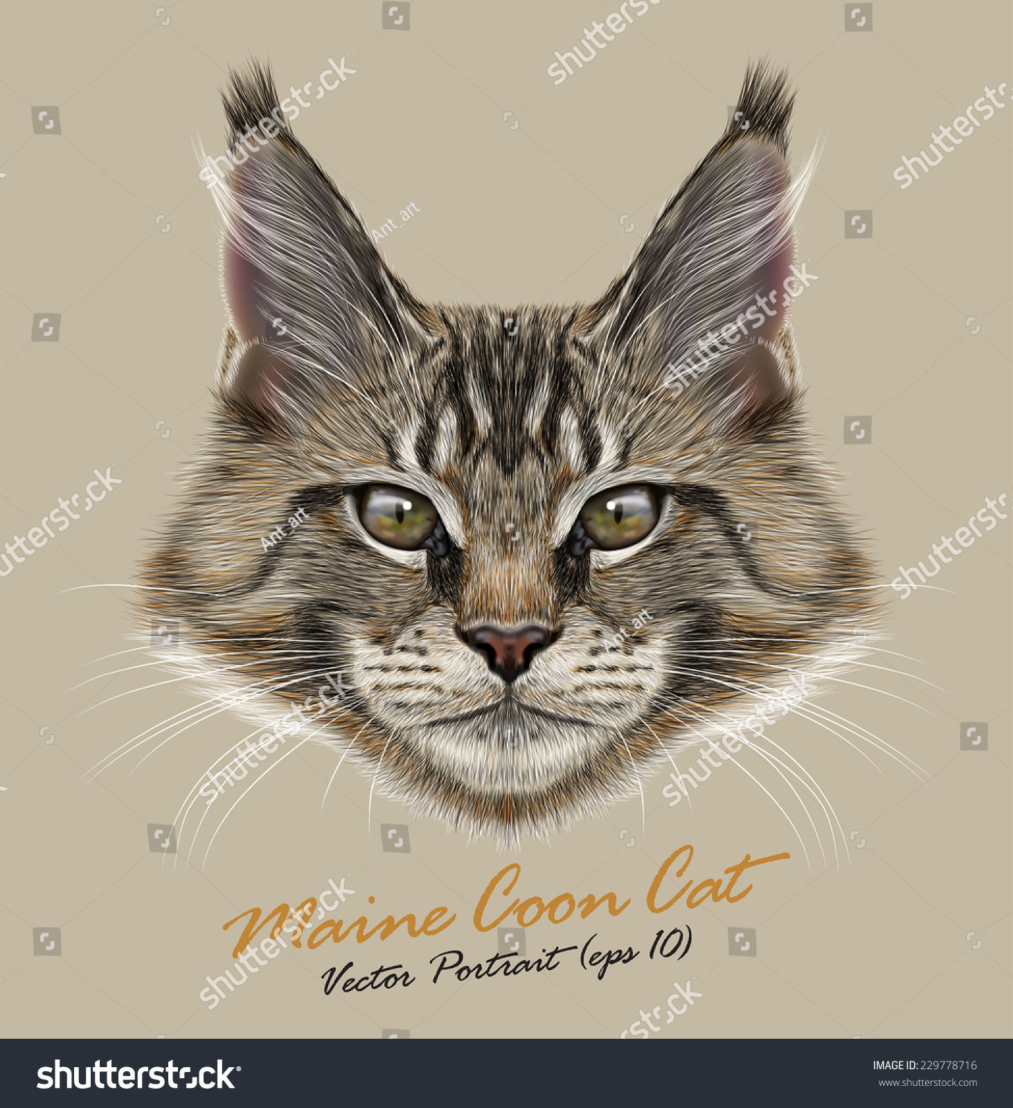 Maine Coon Cat Animal Cute Face Vector Stock Photo 229778716