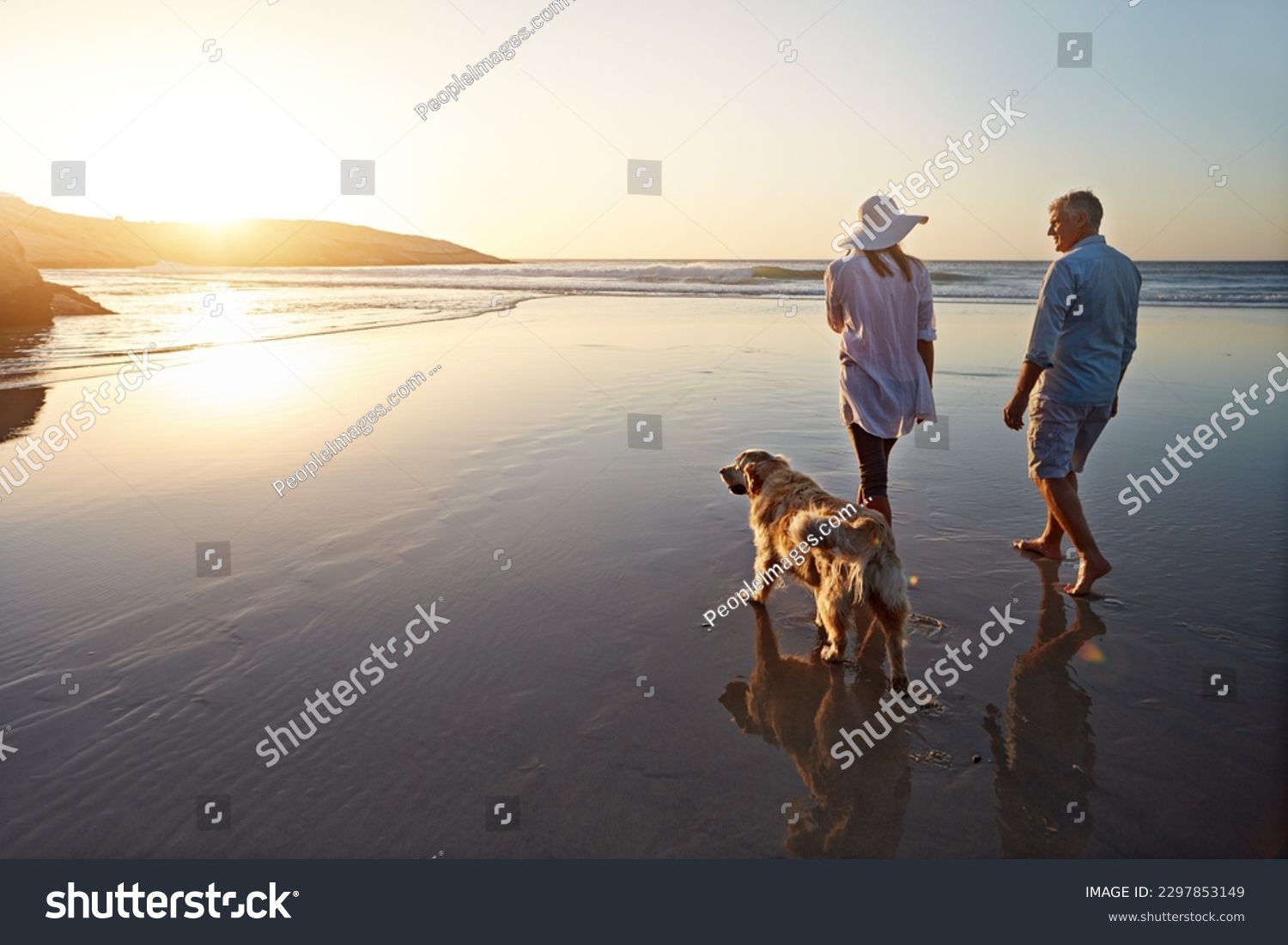 Making sure hes fit and healthy. a mature couple spending the day at the beach with their dog. #2297853149