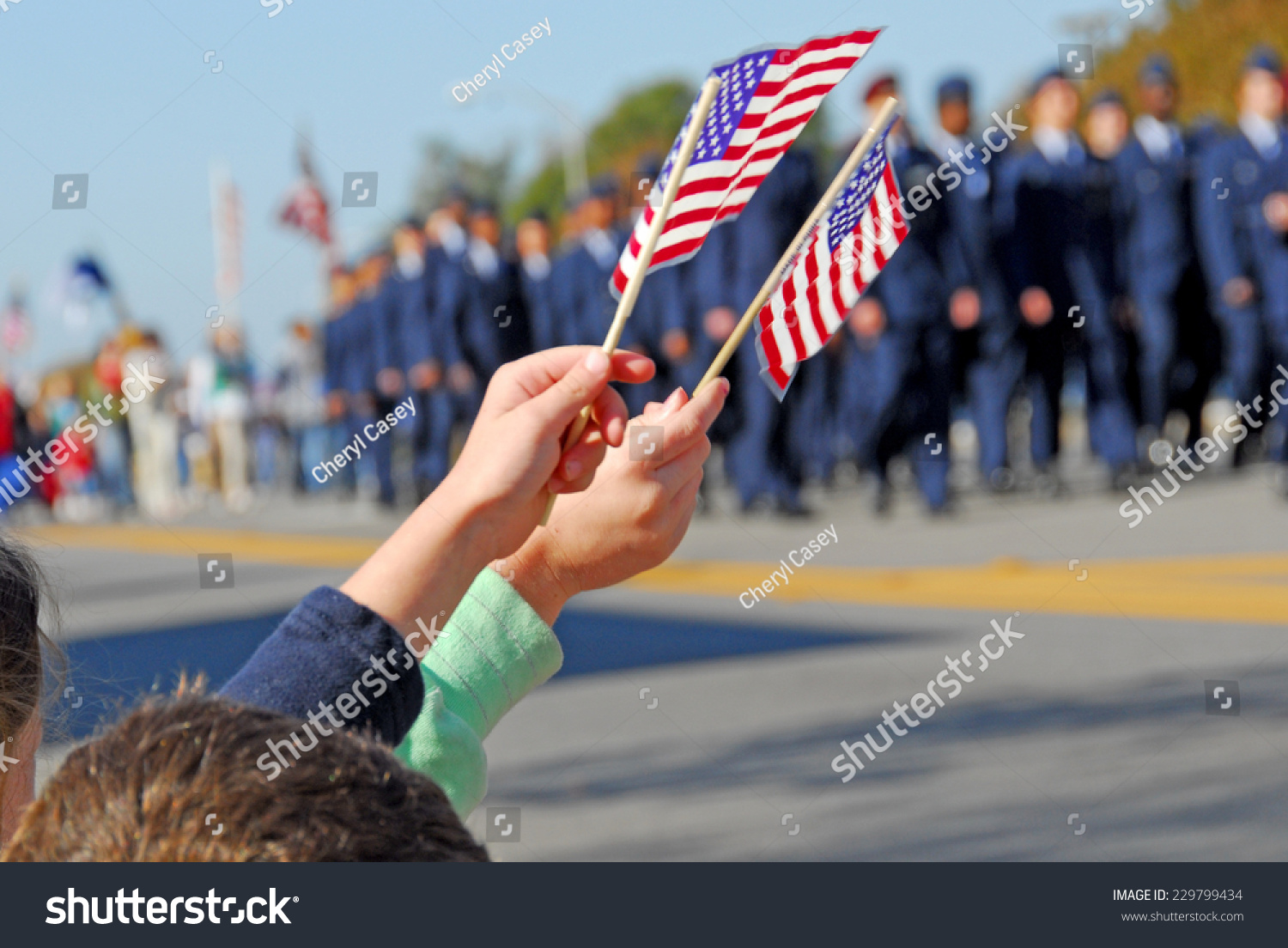 Flags at Veteran's Day Parade #229799434