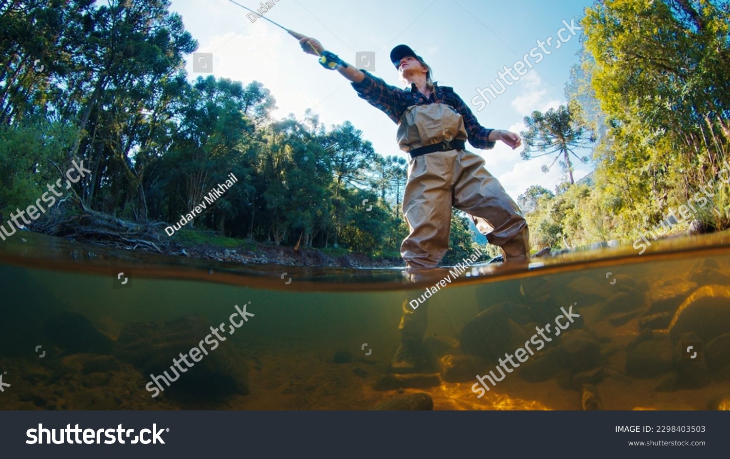 Woman angler on the river. Woman stands in the water in waders and casts the line. Woman fishing on the river #2298403503