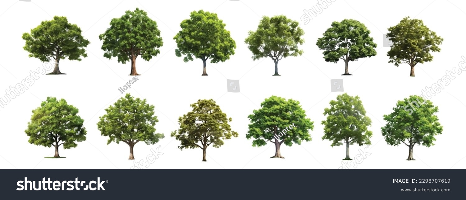 Trees collection set. Green plants with leaves, garden botanical vector realistic #2298707619