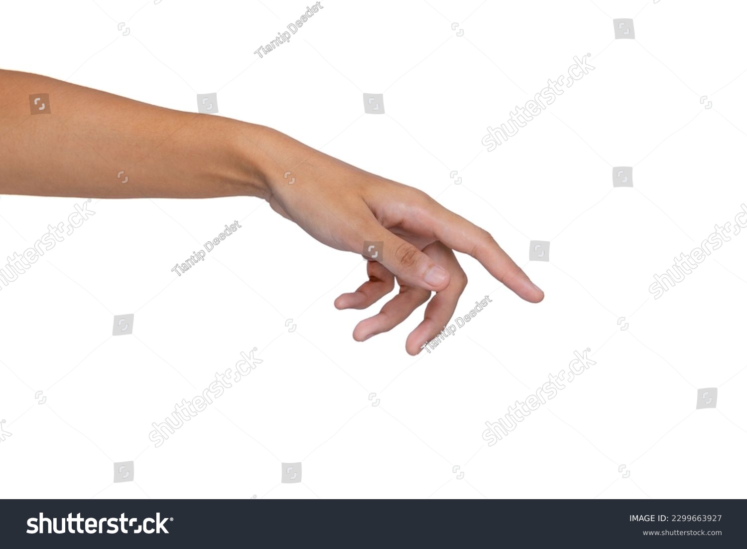 Woman's hands, isolated on white background. Nature. Beauty holding hands.
 #2299663927