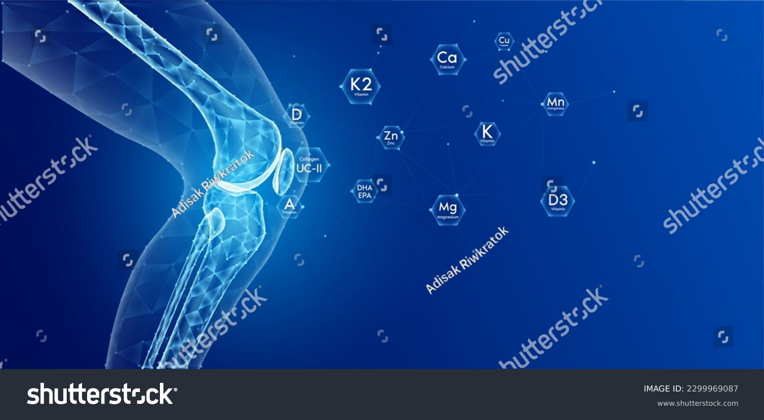 Leg bone side translucent low poly triangles on blue background with vitamins and minerals calcium zinc magnesium absorbed into the bone cartilage care bone knee joint. Used food ads media. Vector. #2299969087