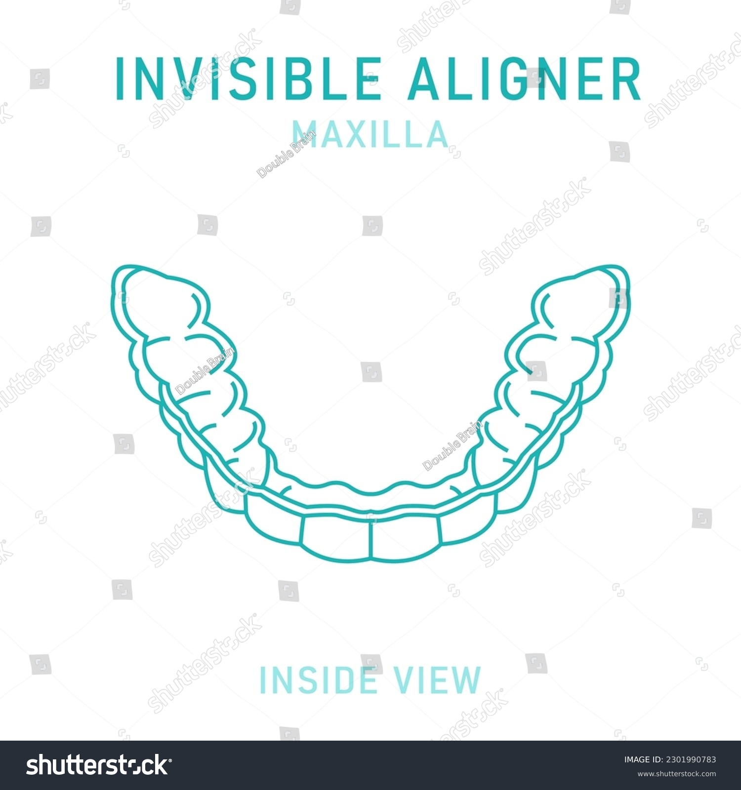 Orthodontic silicone trainer. Invisible braces aligner, retainer. Medical scheme. Inside view. Under jaw. Horizontal poster. Editable vector illustration isolated on a white background.
 #2301990783