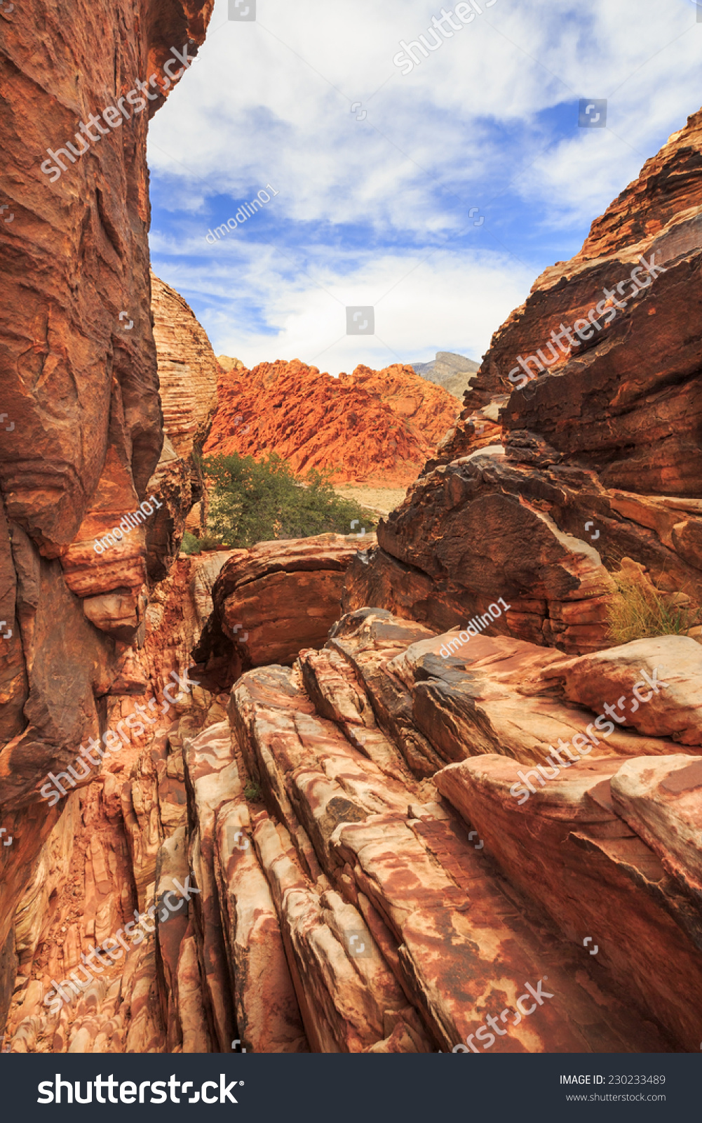 Red Rock Canyon National Conservation Area #230233489