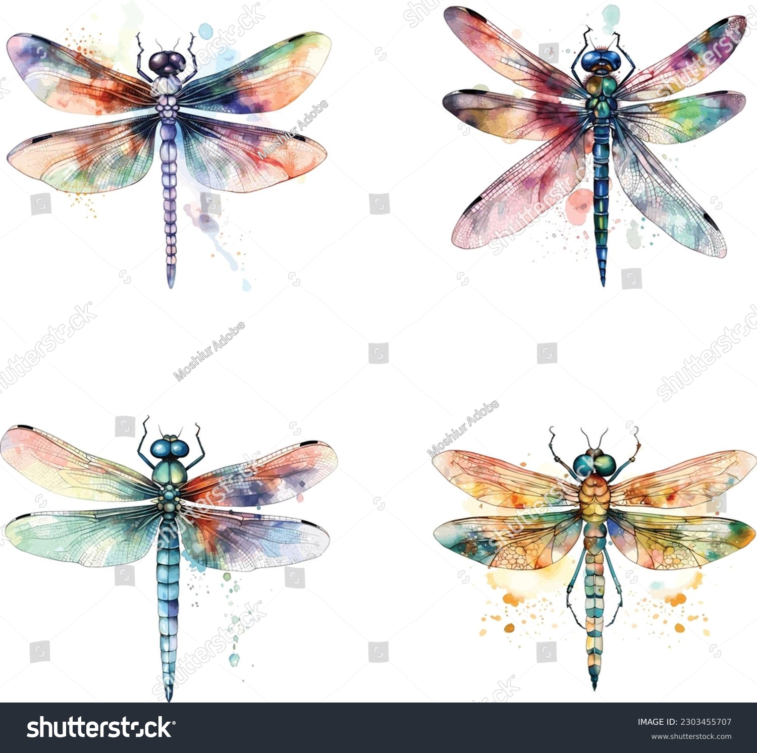 watercolor dragonfly with delicate wings vector illustration #2303455707