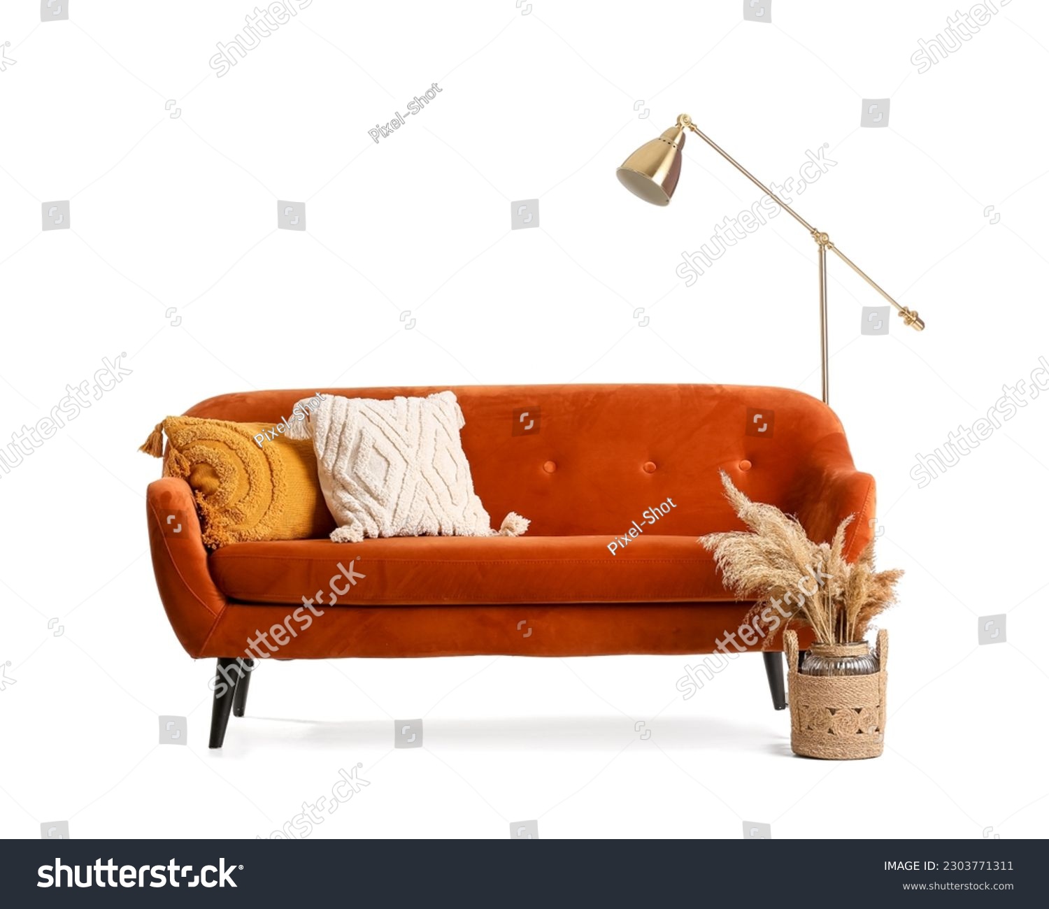 Cozy brown sofa, lamp and vase with pampas grass isolated on white background #2303771311