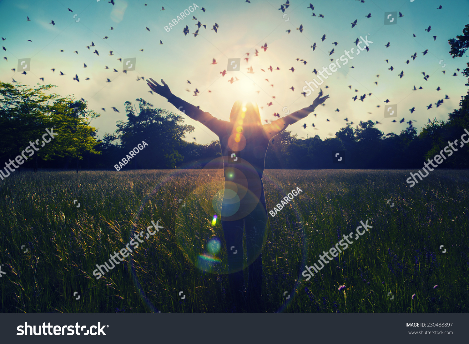 Young girl spreading hands with joy and inspiration facing the sun,sun greeting,freedom concept,bird flying above sign of freedom and liberty  #230488897