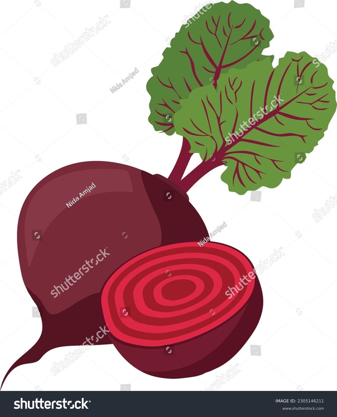 Beetroot Vegetable, Beetroot Illustration, Beetroot Vector art, vegetable illustration #2305146211