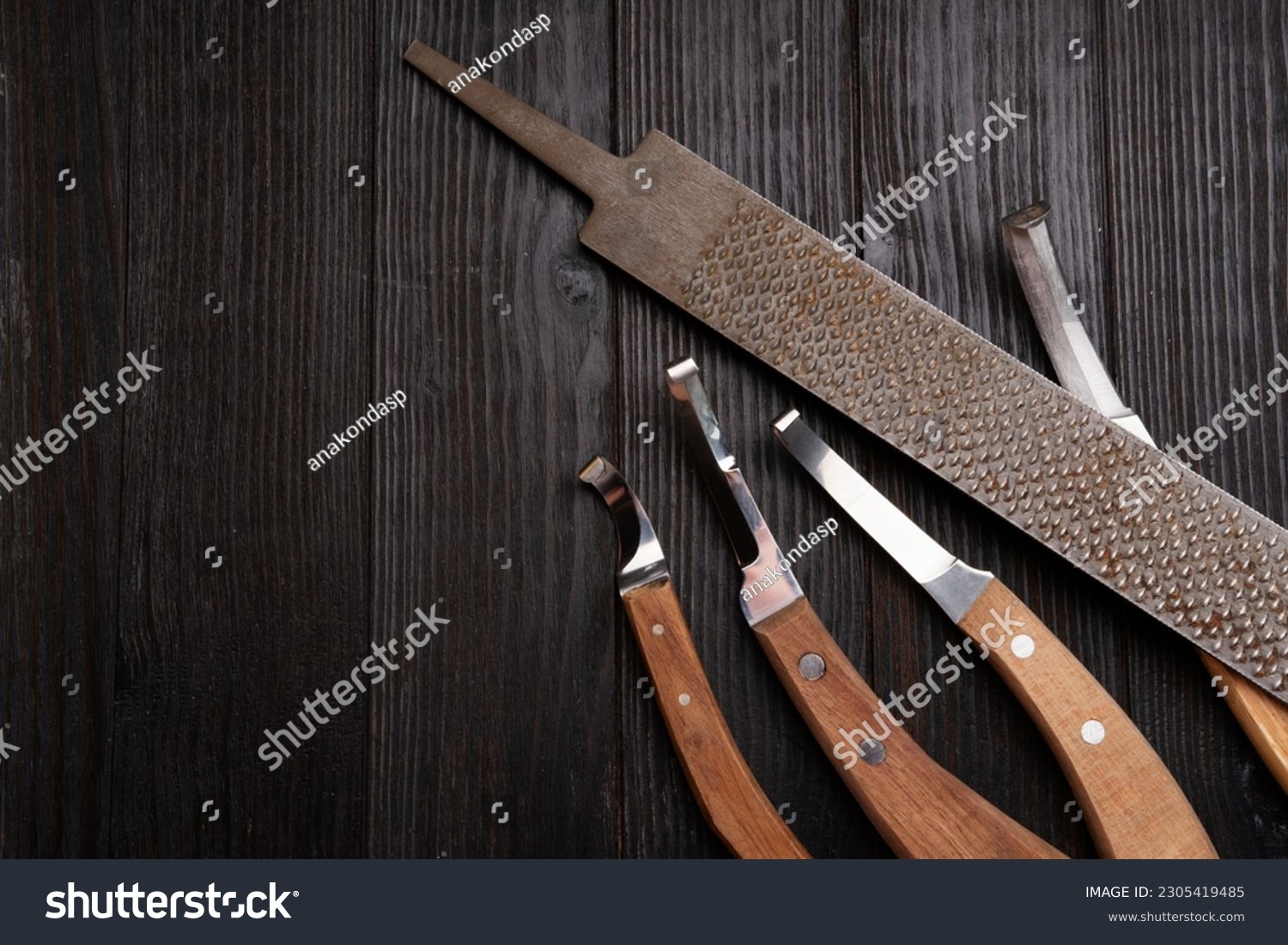 new professional hoof knives with  rasp for trimming horsy foot against black wooden background. horse hoof care concept #2305419485