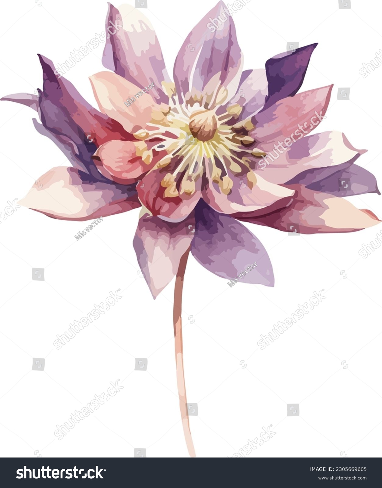 Aquilegia flower clipart, isolated vector illustration. #2305669605