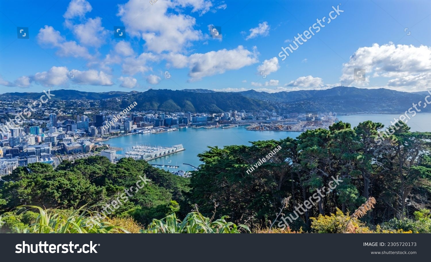 View over the capital Wellington from Mount Victoria, North Island, New Zealand #2305720173