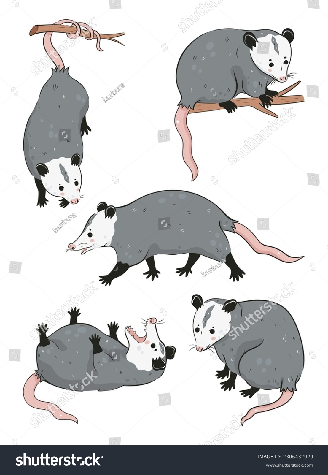 Set of cute possums isolated on white background - Royalty Free Stock ...