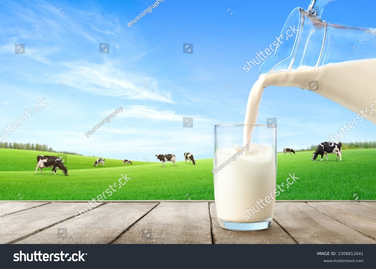 Pouring fresh milk from pitcher into the glass with grass field and cows background. #2306812641