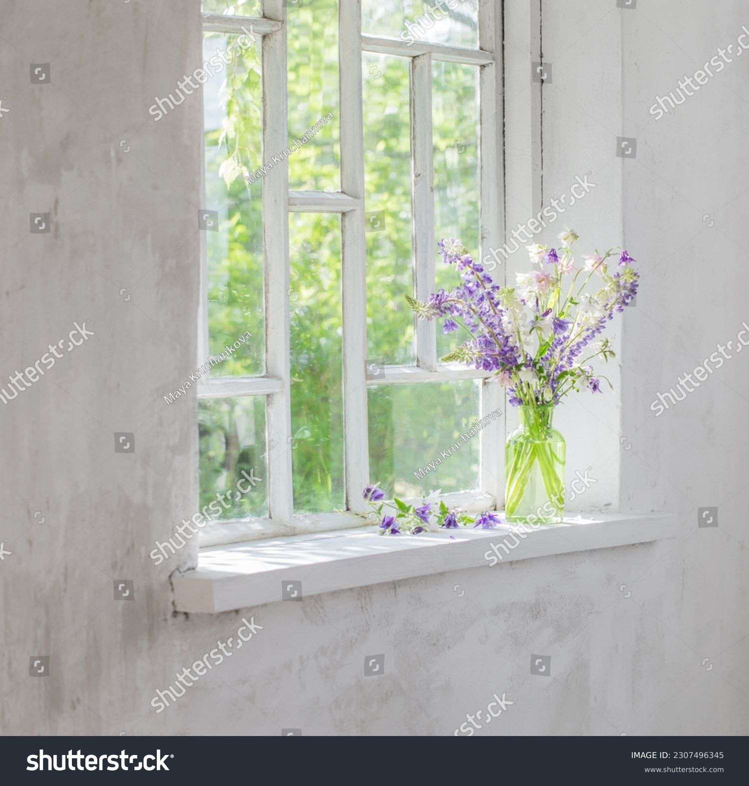 summer flowers in vase on windowsill in sunlight #2307496345