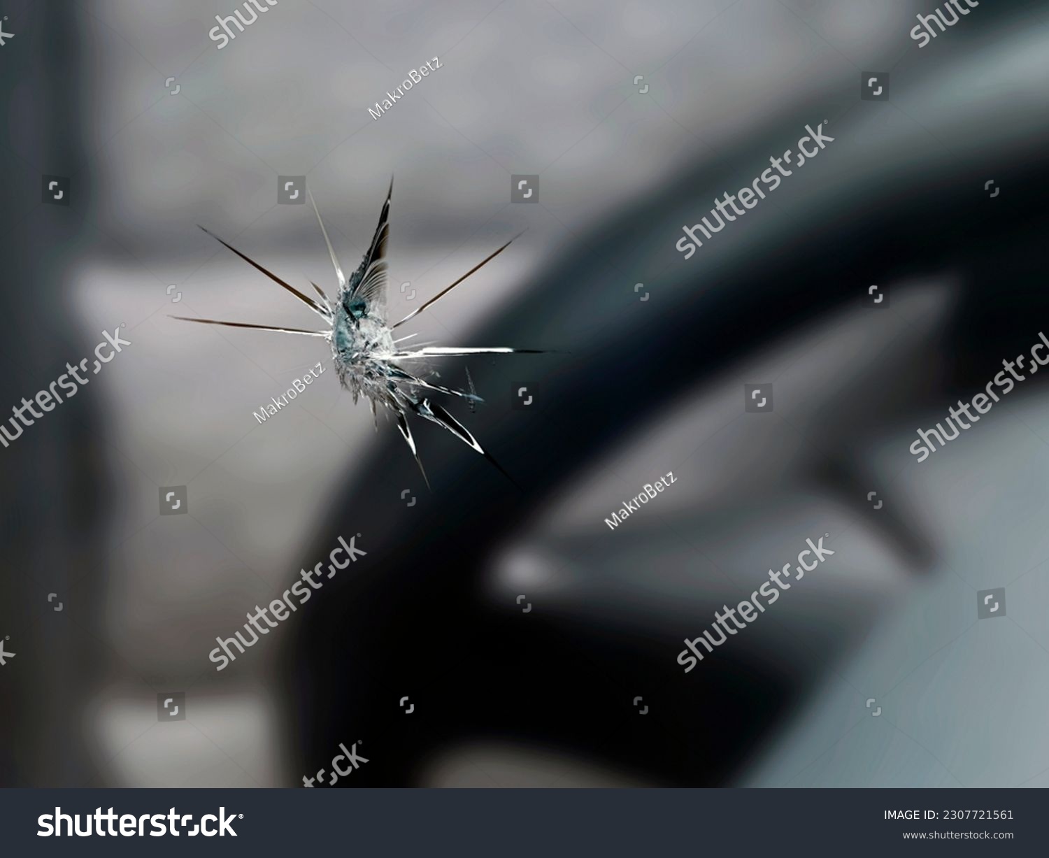close up of a stone chip in the windshield of a car, detail shot of cracks in car glass on the drivers side #2307721561