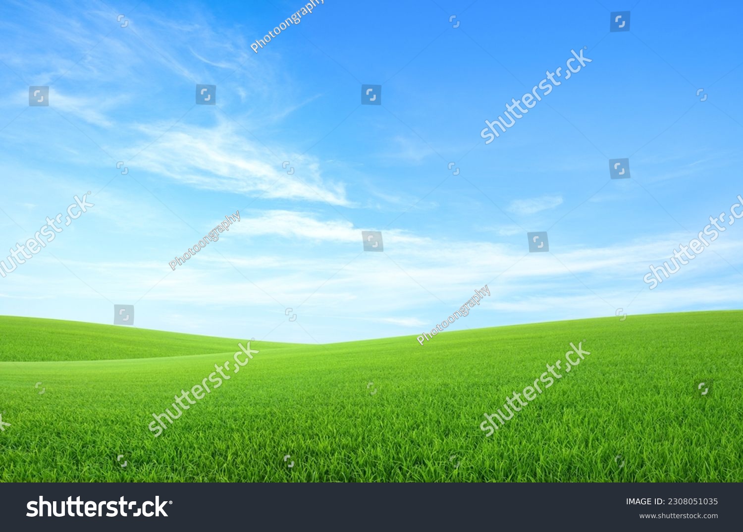 Landscape view of green grass field with blue skybackground. #2308051035