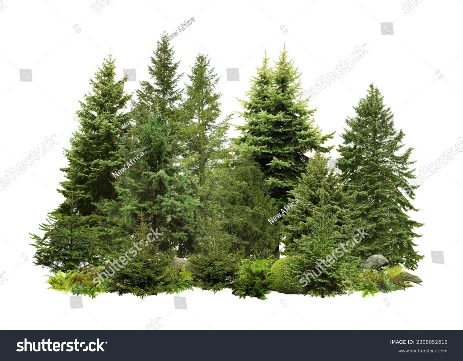 Different green trees and plants on white background #2308052615