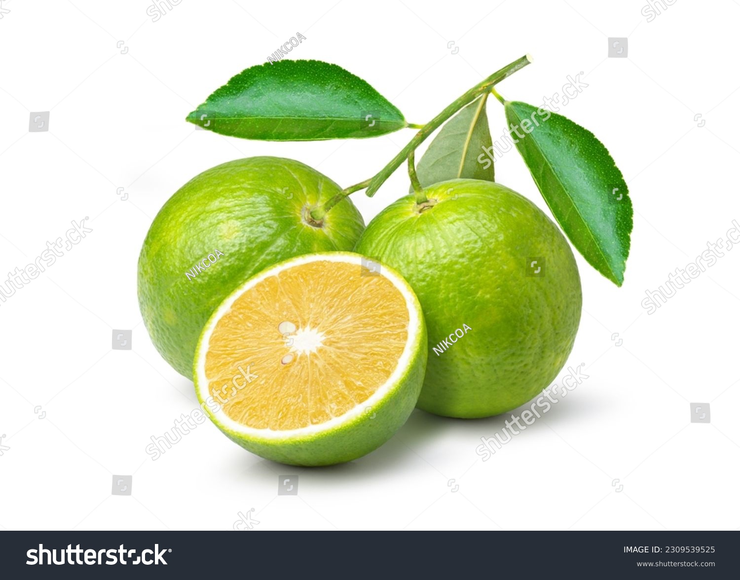 Aurantium citrus (Bitter orange or Seville orange) on branch with green leaves and cut in half sliced isolated on white background. #2309539525