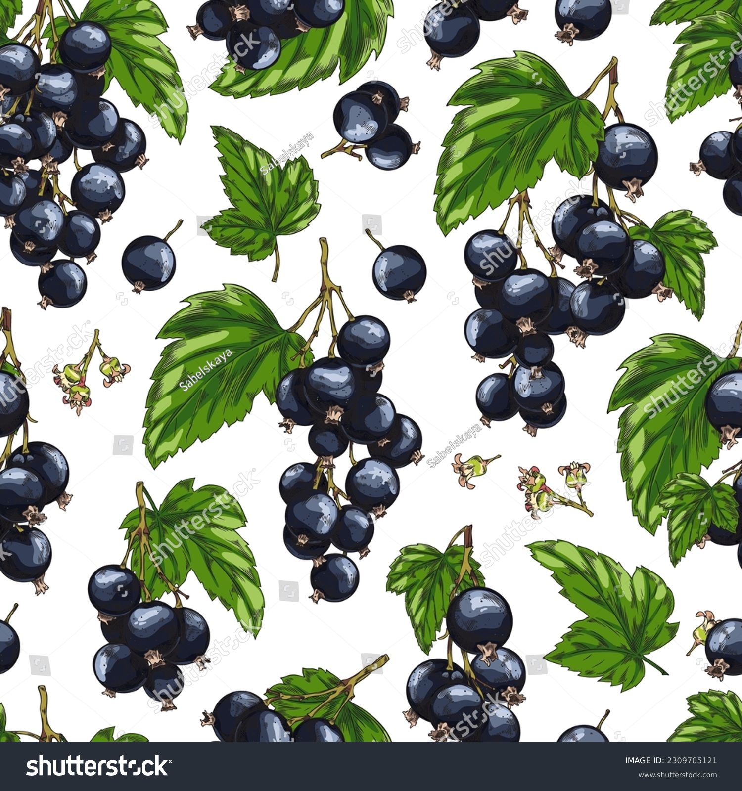 Seamless realistic pattern with black currants and green leaves. Hand drawn colored sketch. Blackberry agriculture vegan plant. Good for printing on packaging, textile. Vector illustration on white #2309705121