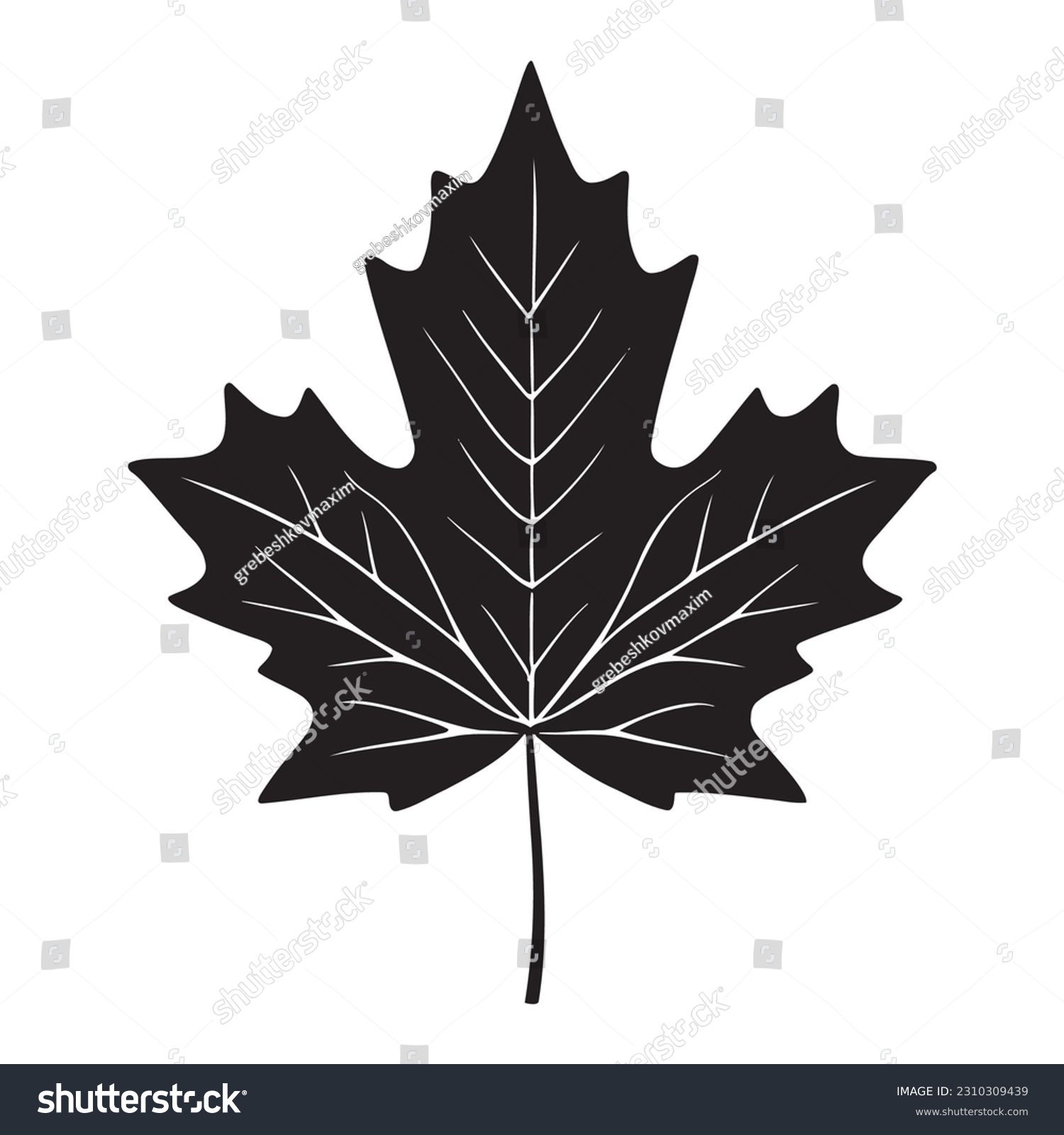 Maple leaf silhouette logo isolated on white background, vector icon #2310309439