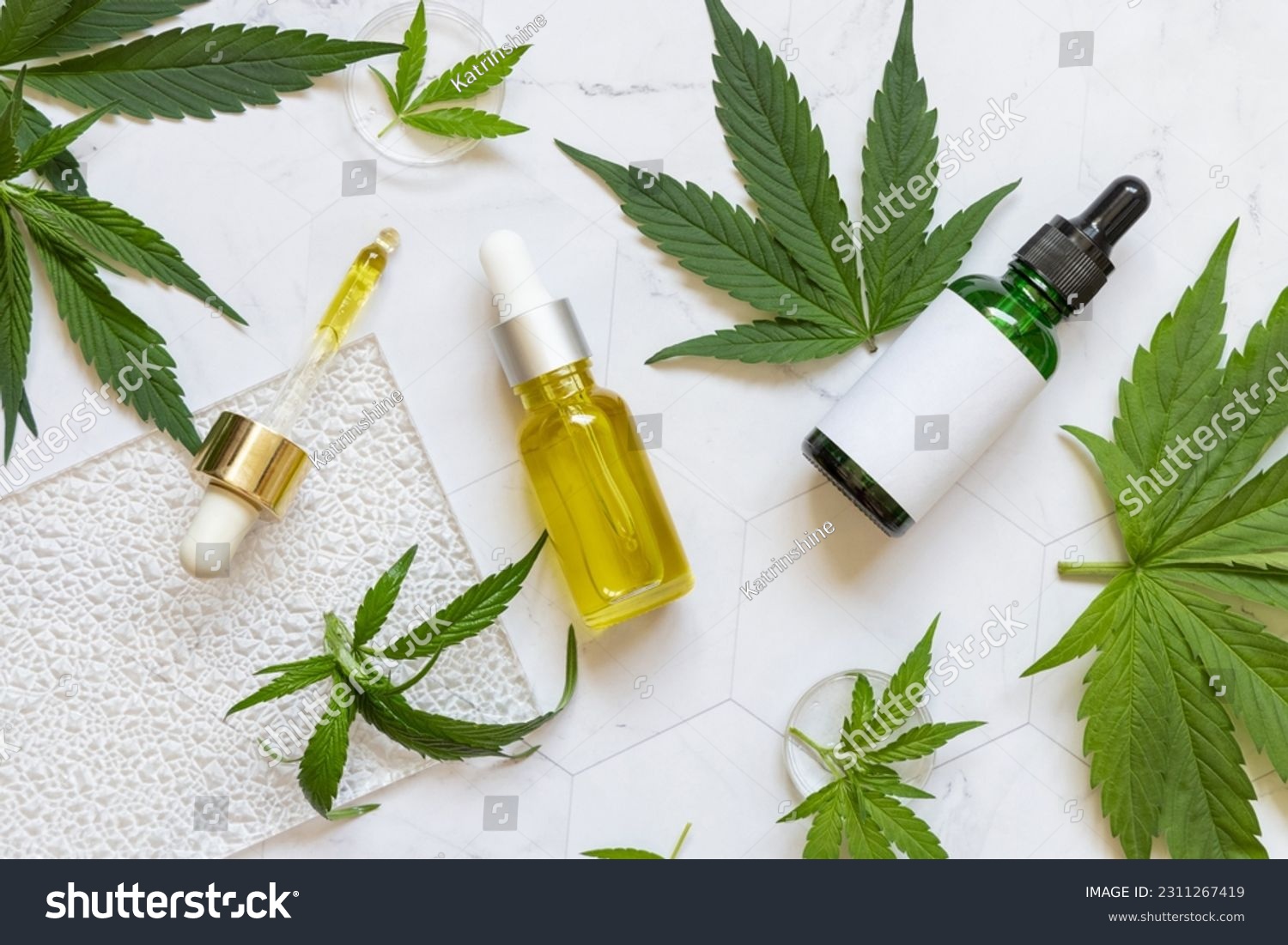 Cosmetic dropper bottles with blank label near green cannabis sativa leaves on a marble table top view. Mockup, Copy space. Organic skincare beauty products. Eco friendly CBD oil

 #2311267419