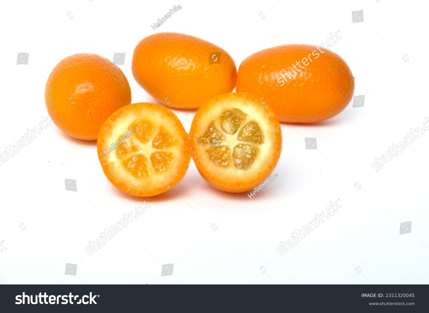kumquat on a white background #2311320045