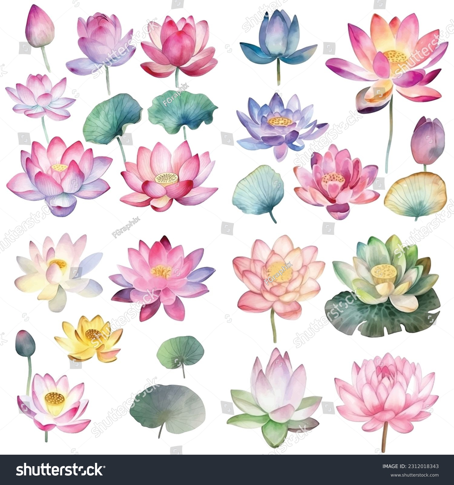 Lotus flower vector watercolor paint collection - Royalty Free Stock ...