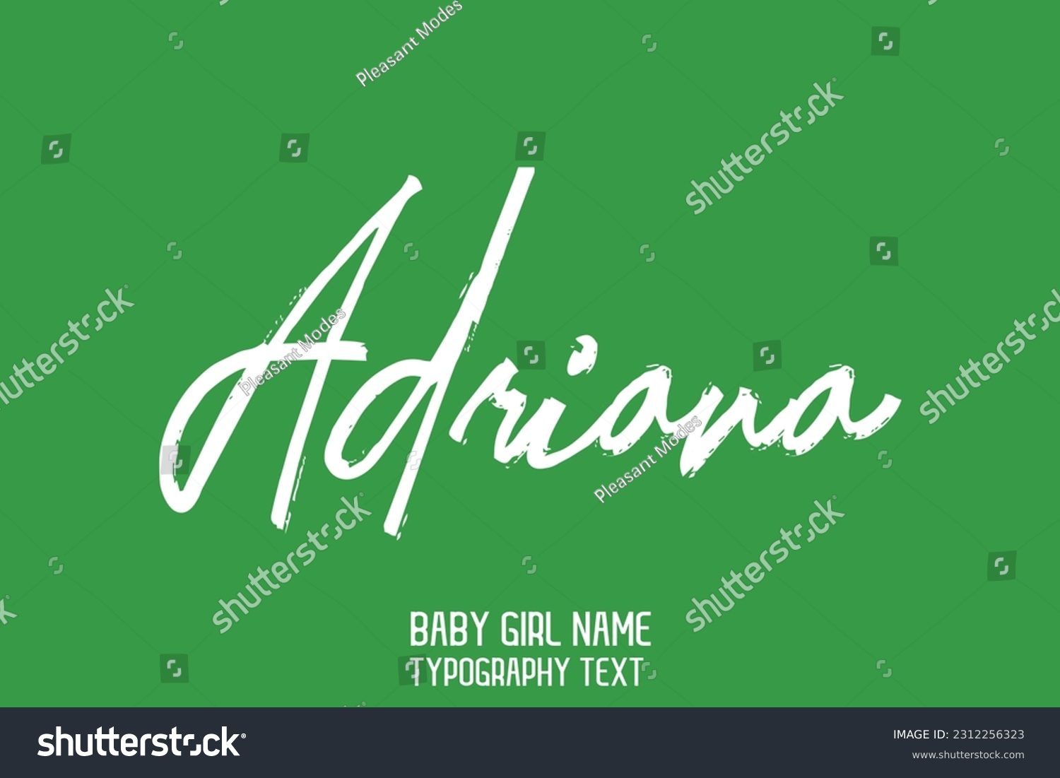 Adriana Girl Name Cursive Handwritten Brush - Royalty Free Stock Vector