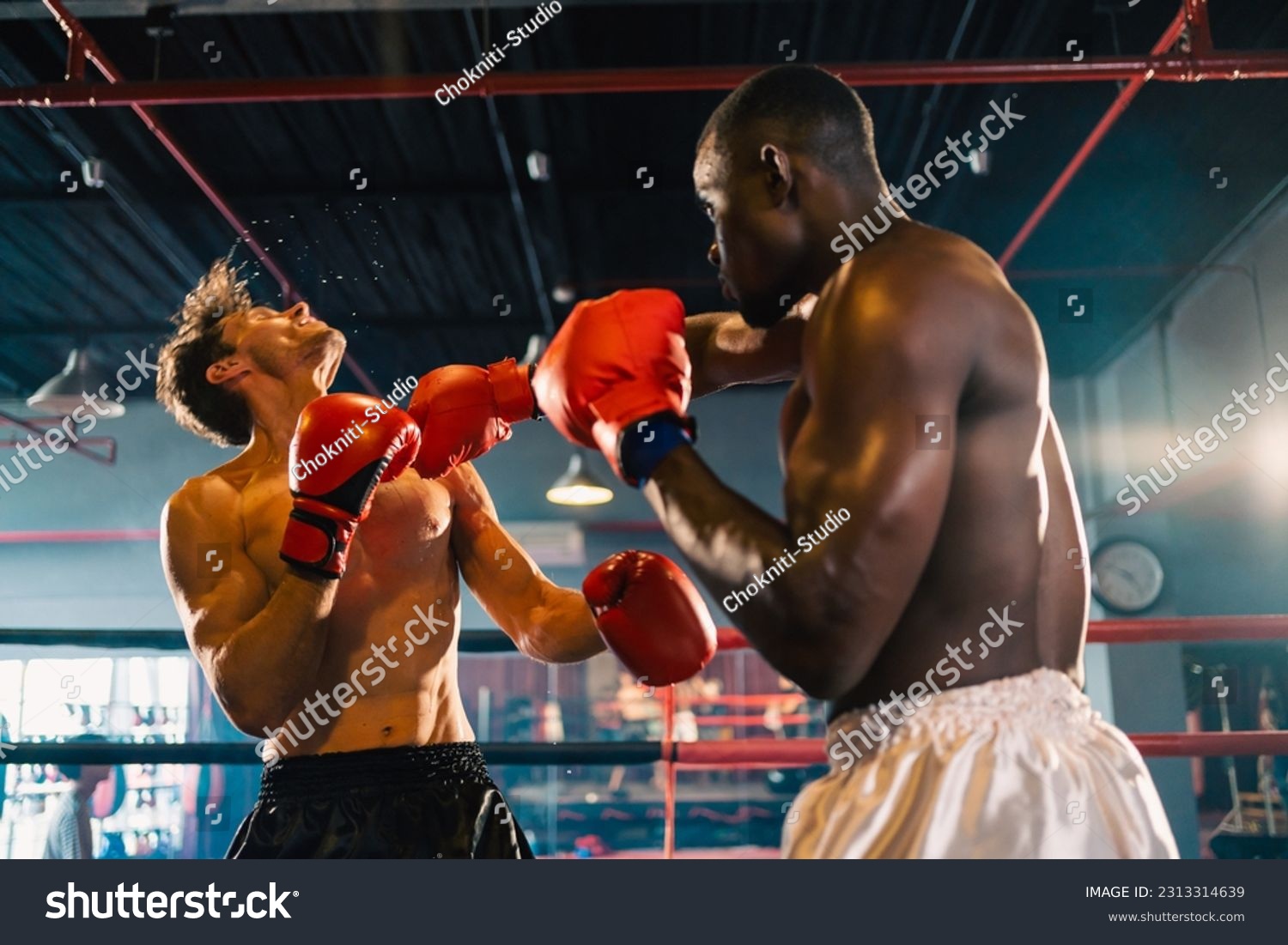 Two professional boxer man exercising in Thai boxing match or MMA in red gloves at the moment of impact on punching, background of ring during boxing fight, sport training for strength power body hit #2313314639