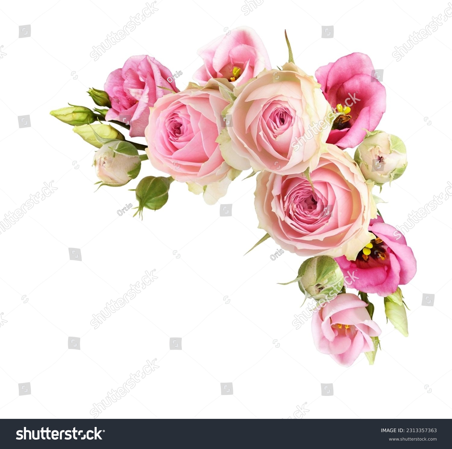 Pink rose and eustoma flowers in a corner floral arrangement isolated on white #2313357363