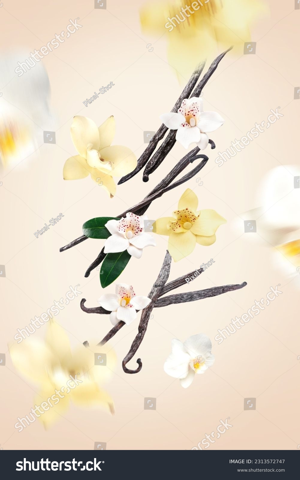 Flying vanilla sticks and orchid flowers on beige background #2313572747