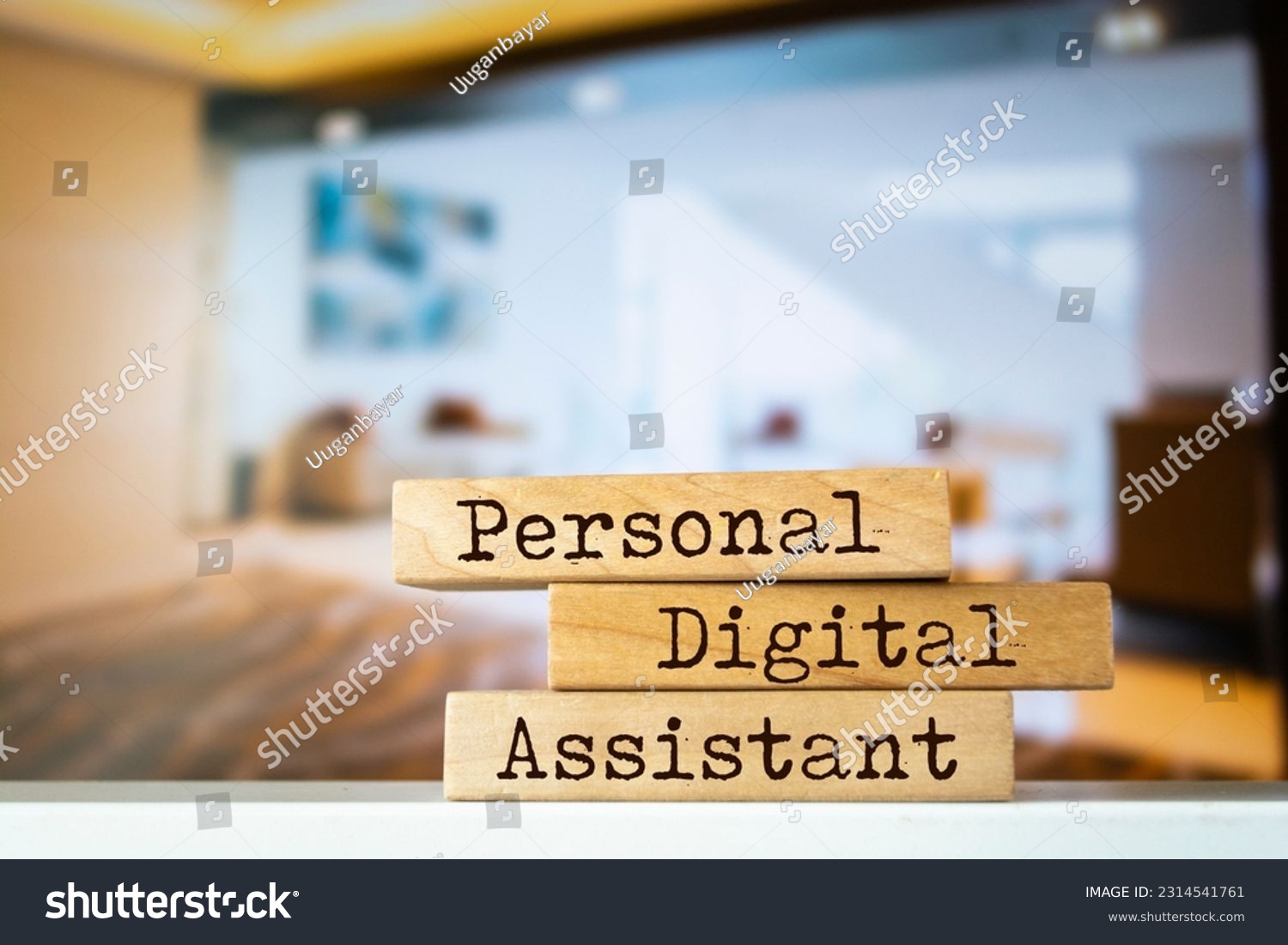 Wooden blocks with words 'Personal Digital Assistant' #2314541761