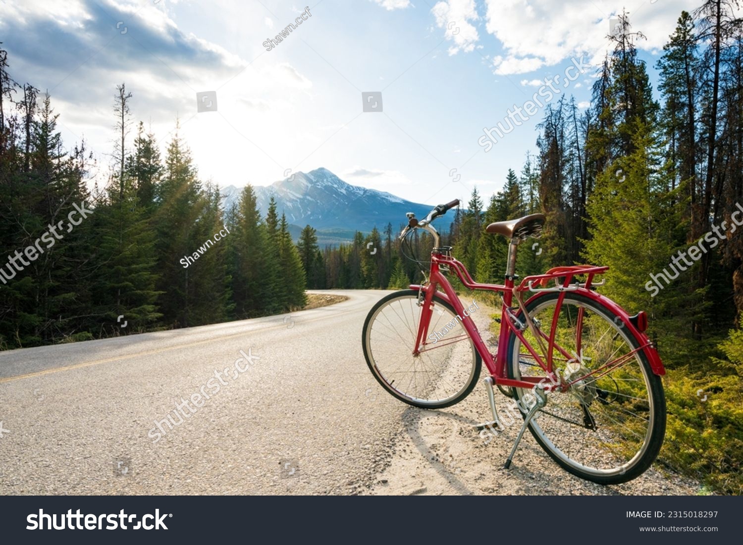 Biking in nature. Scenic bicycle trip along the alpine route. Maligne Lake Road. Jasper National Park, Alberta, Canada. #2315018297