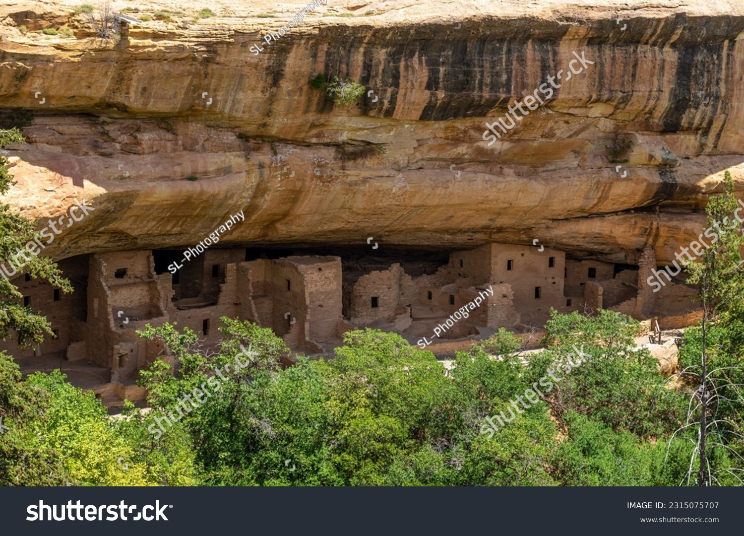 Spruce Tree House cliff dwelling of the Pueblo Anasazi indigenous people, Mesa Verde national park, Colorado, USA. #2315075707