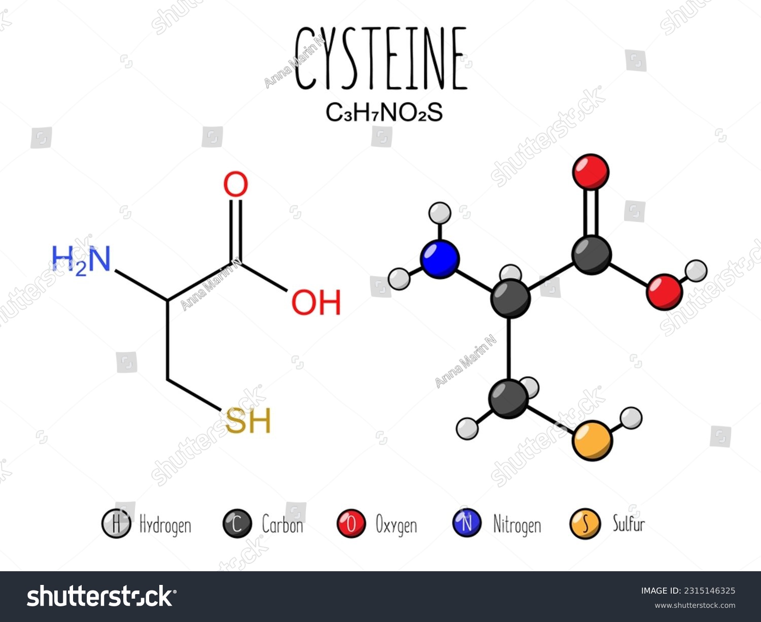 Cysteine amino acid representation. Skeletal - Royalty Free Stock ...