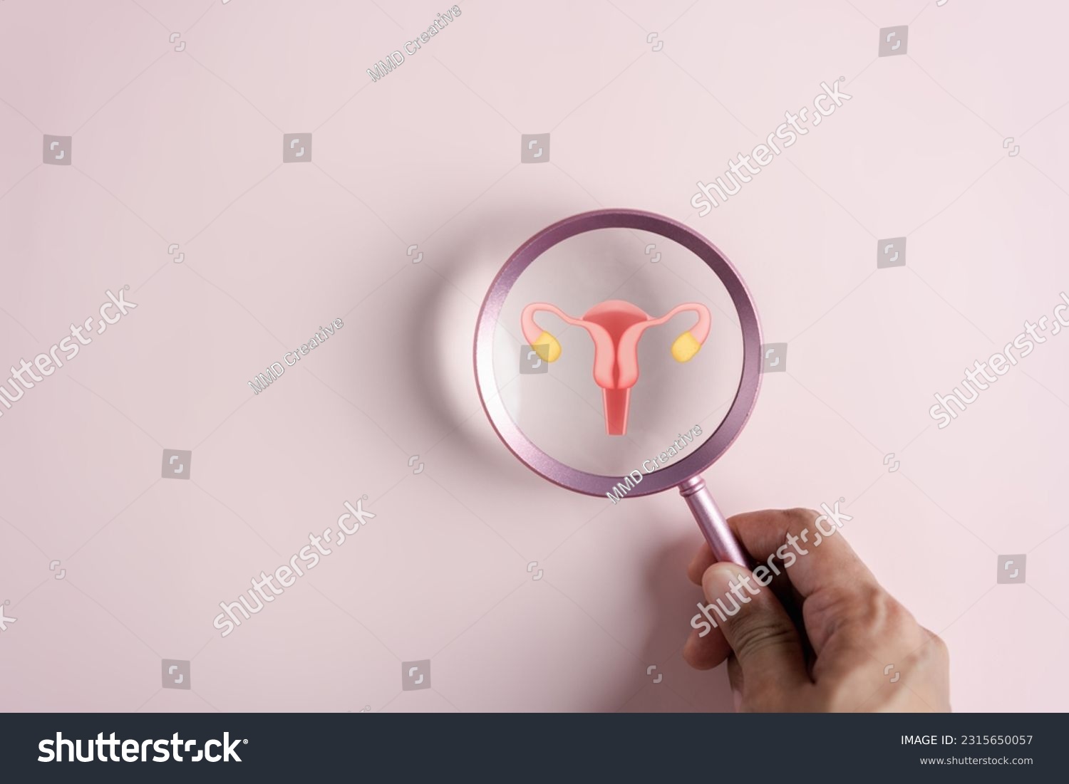 Checkup uterus reproductive system , women's health, PCOS, ovary cancer treatment and examine, Healthy feminine concept. #2315650057